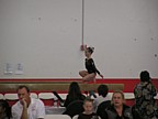 pb220045.jpg